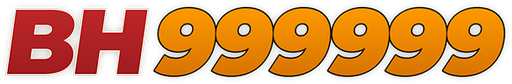 bdbh999999 Logo